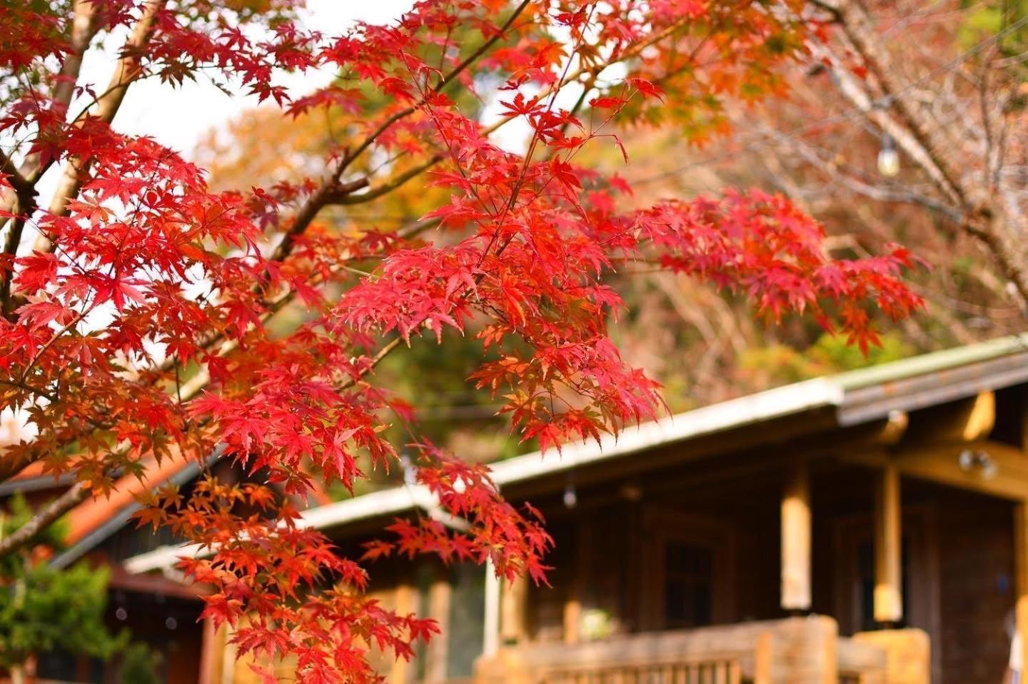Sunny Side Cottage شيمودا المظهر الخارجي الصورة