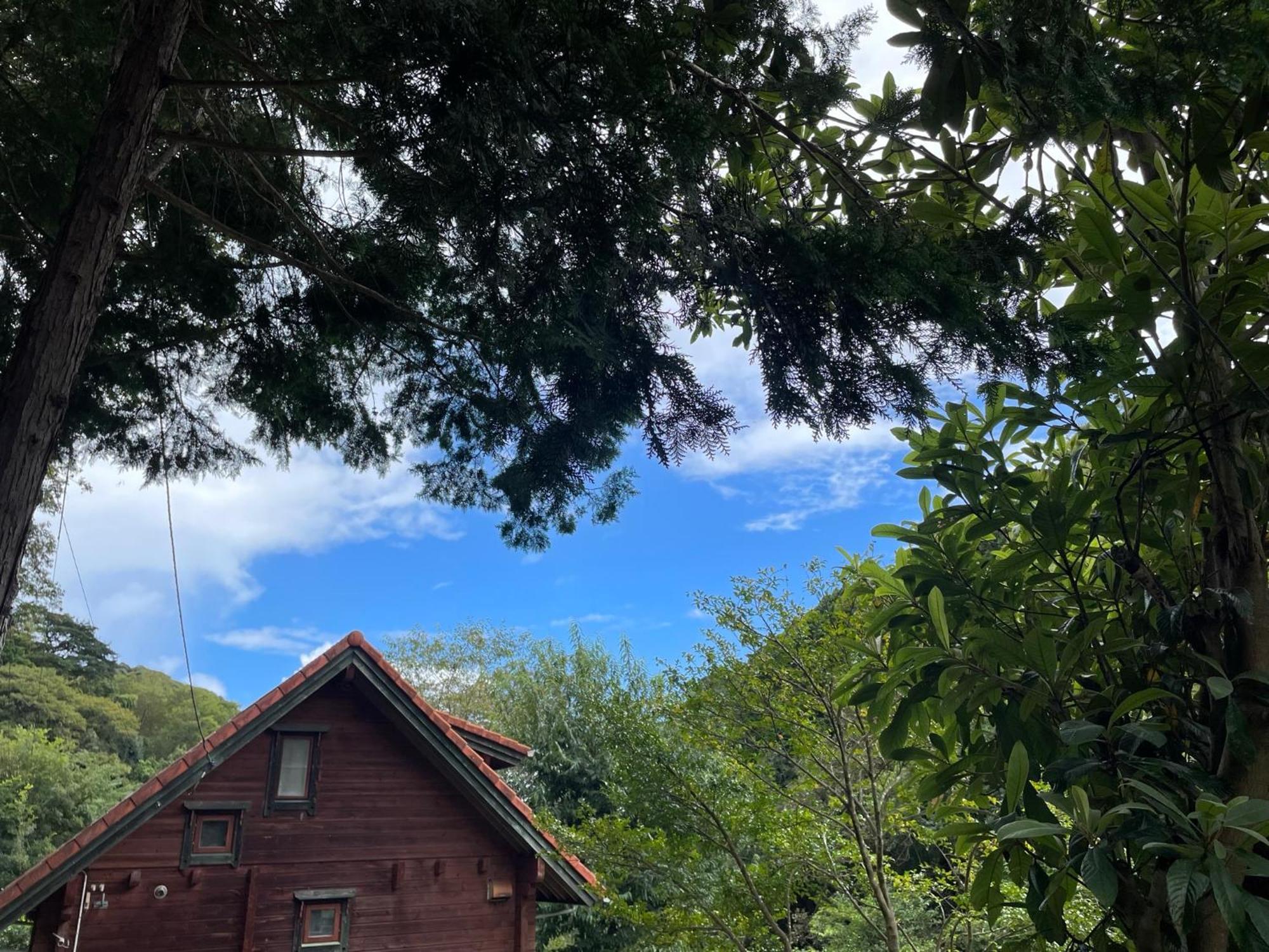 Sunny Side Cottage شيمودا المظهر الخارجي الصورة